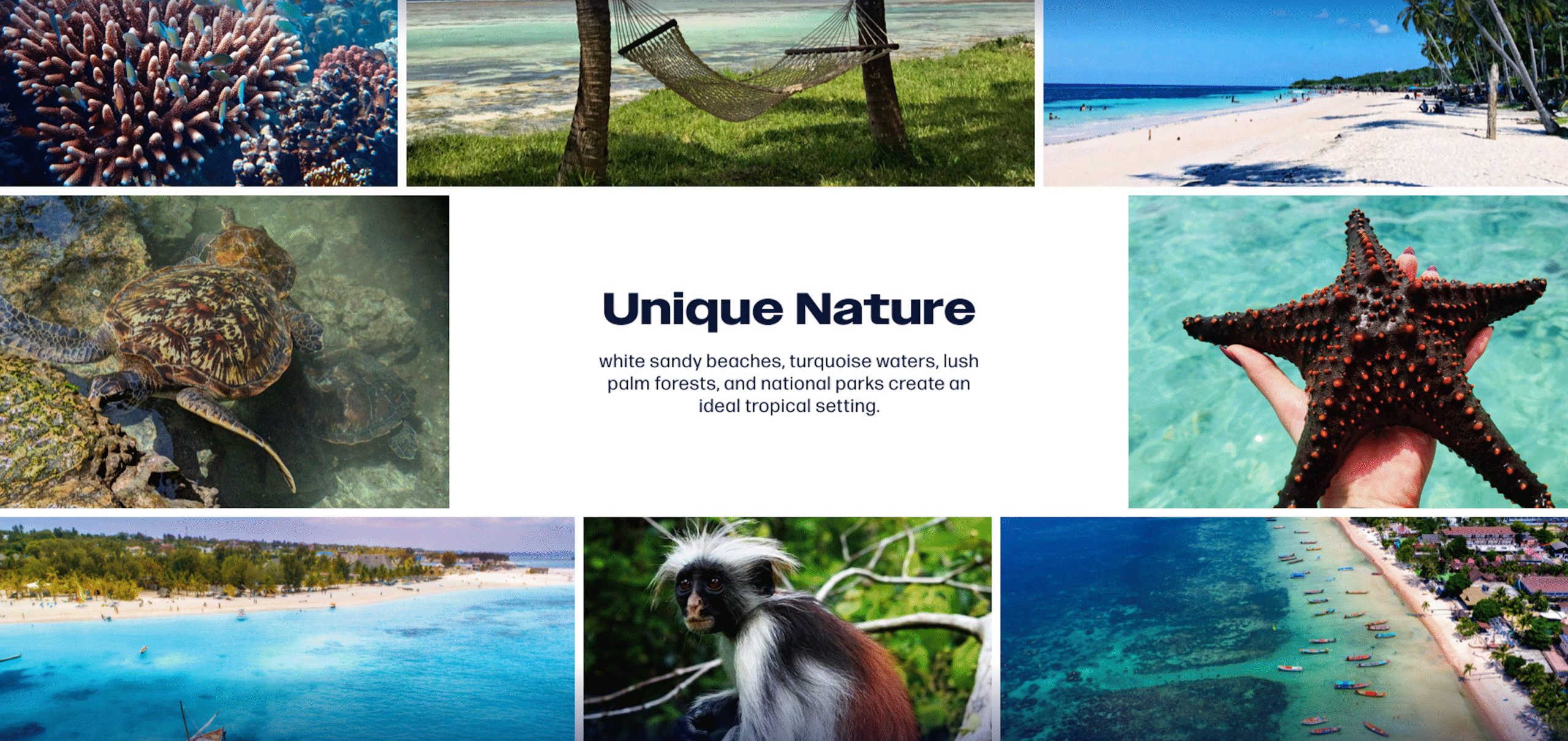 Screenshot 2025-11-21 at 4.37.50 PM